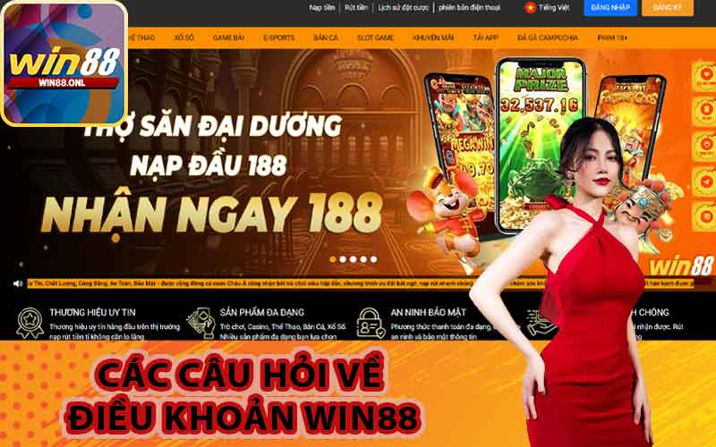 Các câu hỏi về điều khoản Win88